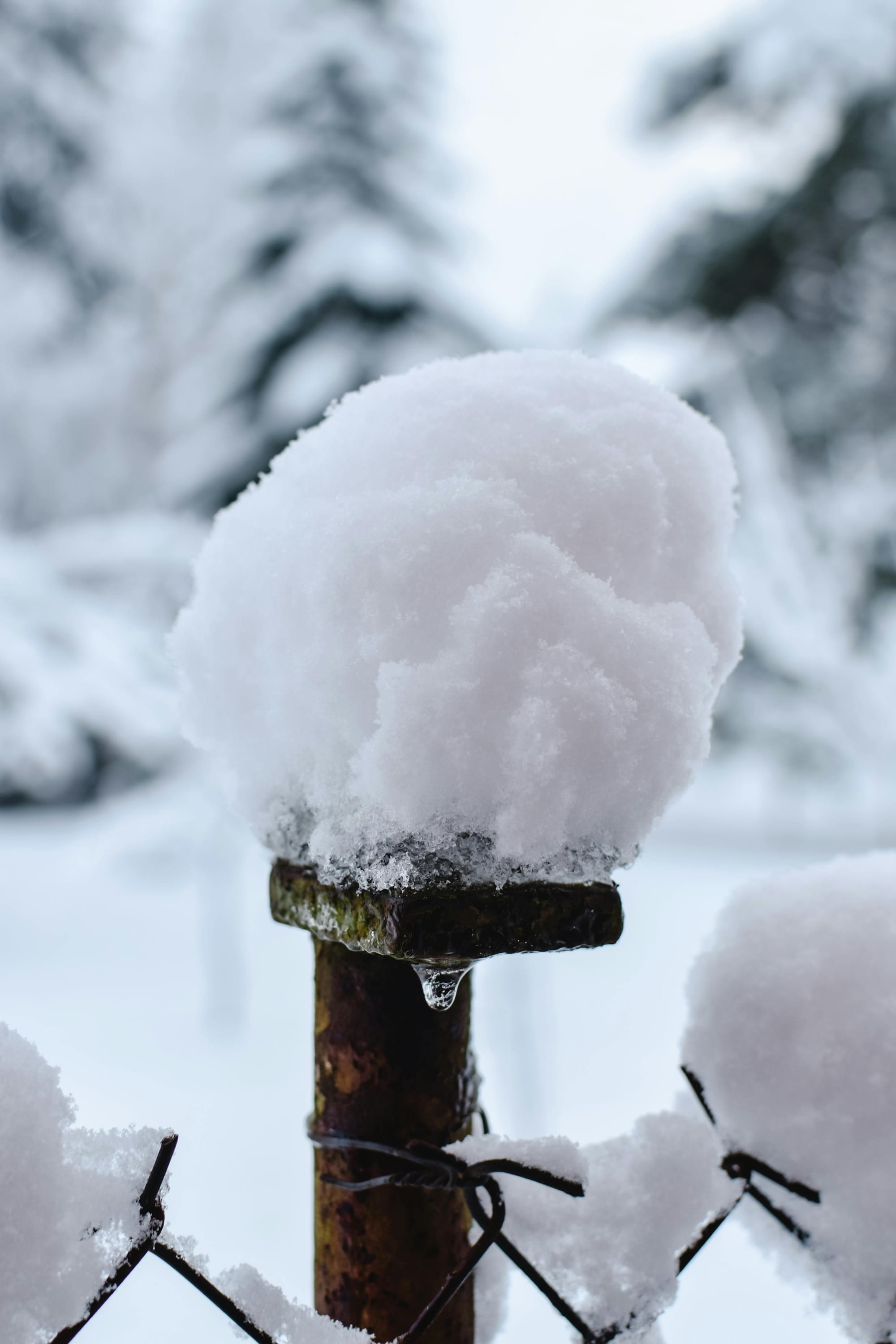 Debt Snowball vs Debt Avalanche: Which Method is Right for You?
