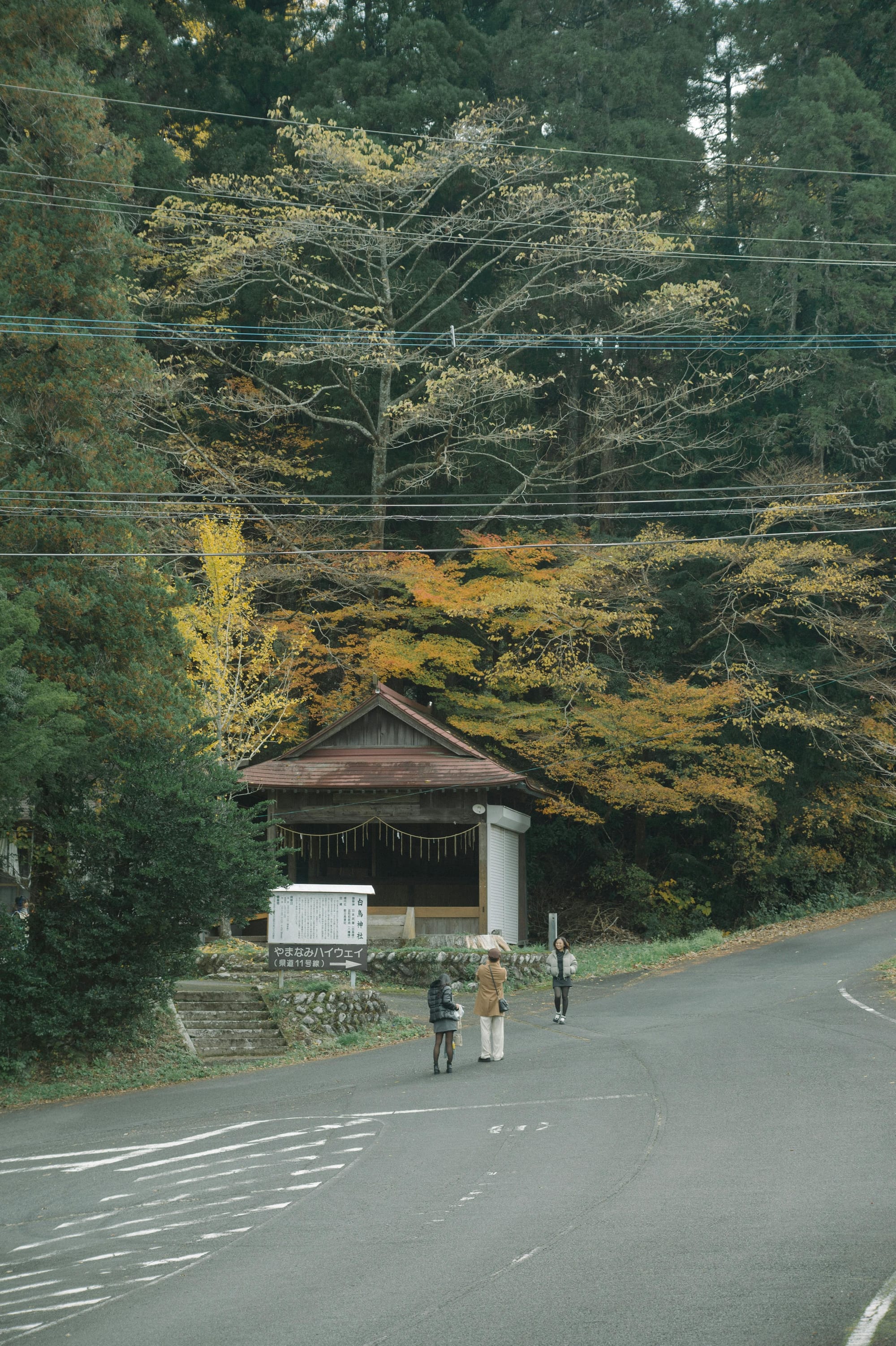 North Devon Man Walks 700 Miles Across Japan for Mental Health